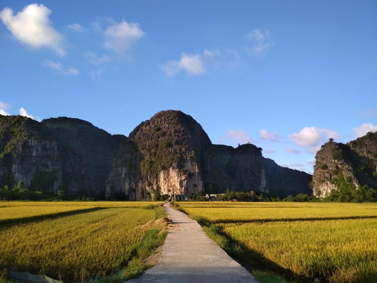 Tam Coc Lotus Flower Homestay Ninh Binh Eksteriør bilde