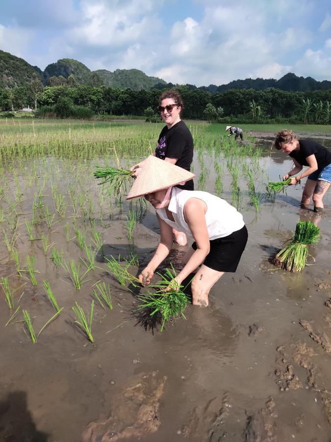 Tam Coc Lotus Flower Homestay Ninh Binh Eksteriør bilde