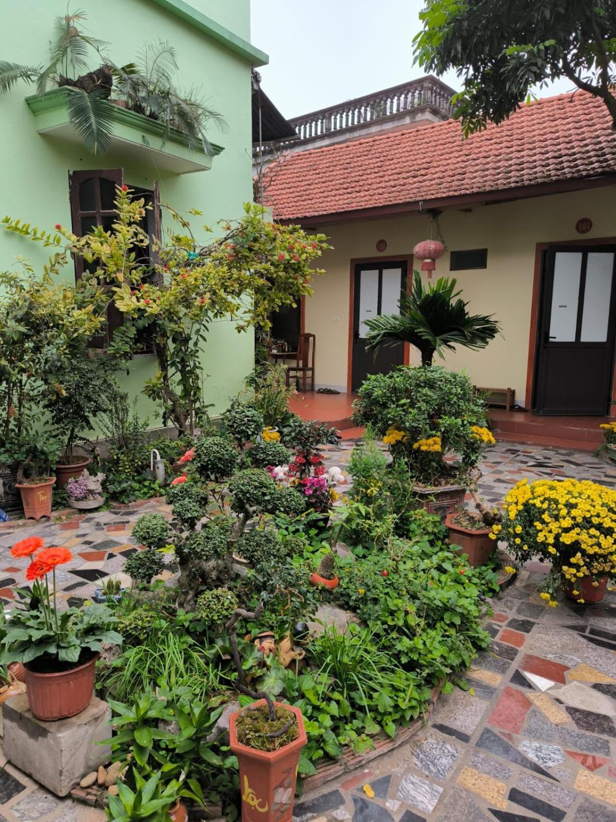 Tam Coc Lotus Flower Homestay Ninh Binh Eksteriør bilde