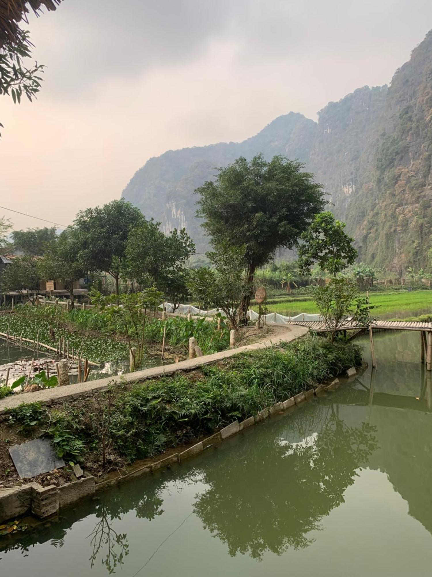 Tam Coc Lotus Flower Homestay Ninh Binh Eksteriør bilde