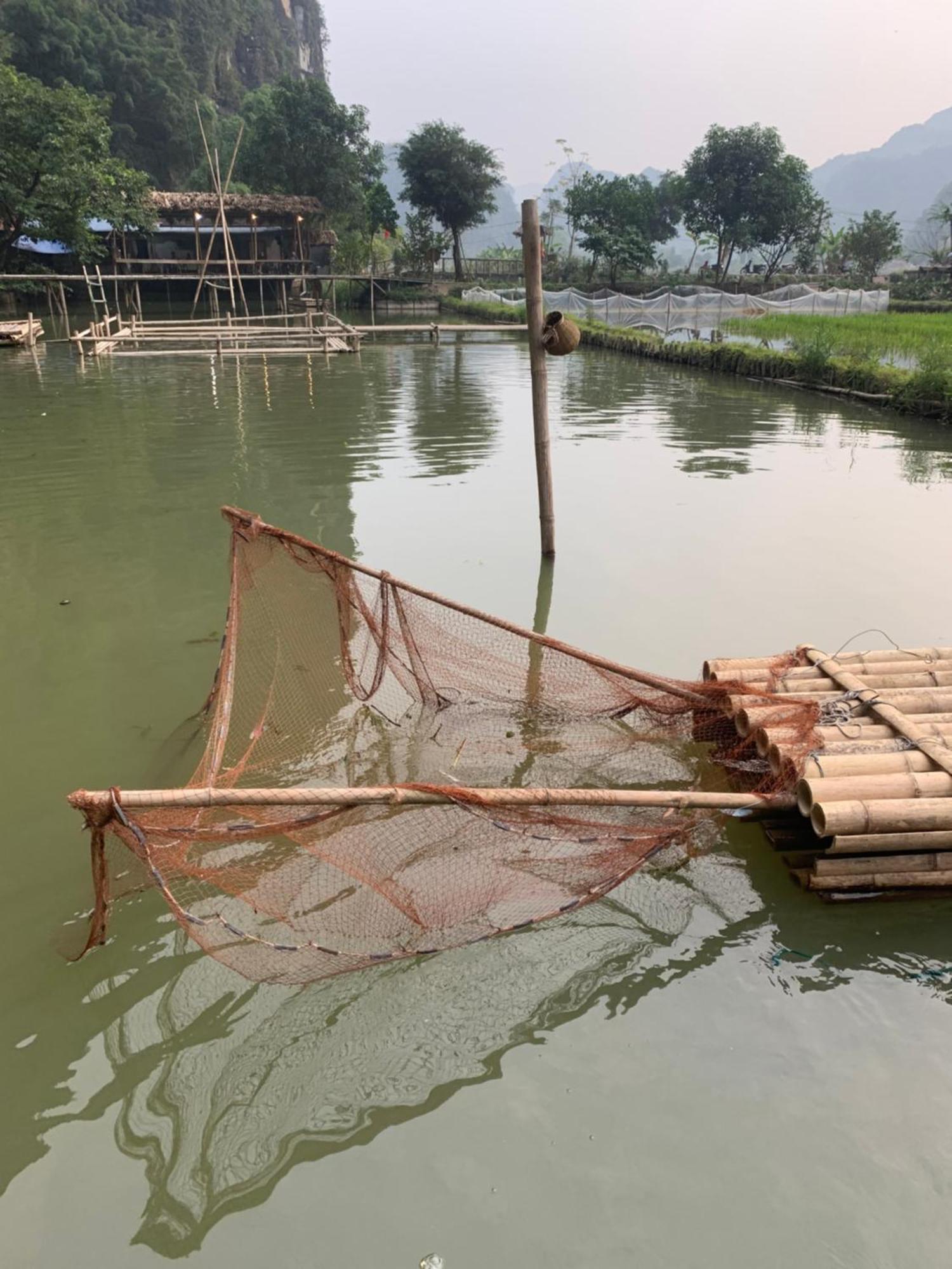Tam Coc Lotus Flower Homestay Ninh Binh Eksteriør bilde